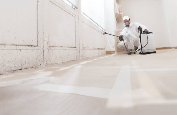 24/7 Emergency Mold Removal experts in Louisville, TN